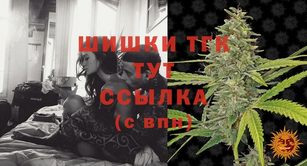 спиды Бородино