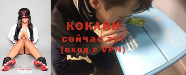 спиды Бородино