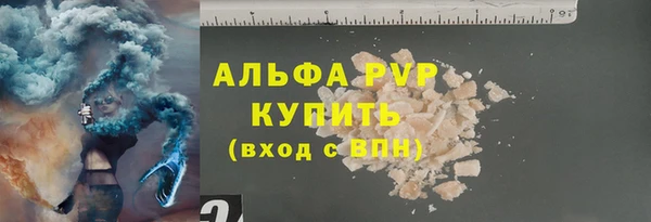 спиды Бородино