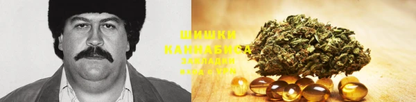 спиды Бородино