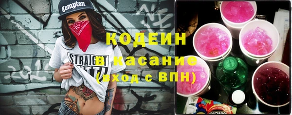 спиды Бородино