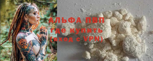 спиды Бородино