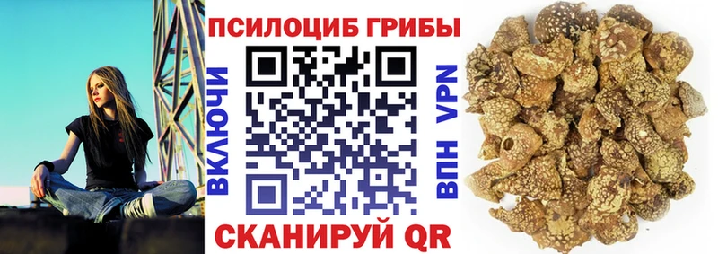 Псилоцибиновые грибы мухоморы  Купить закладки  Суровикино 